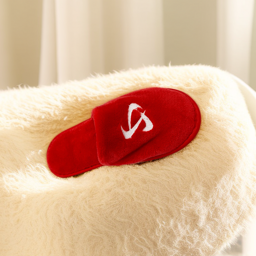 disposable slipper